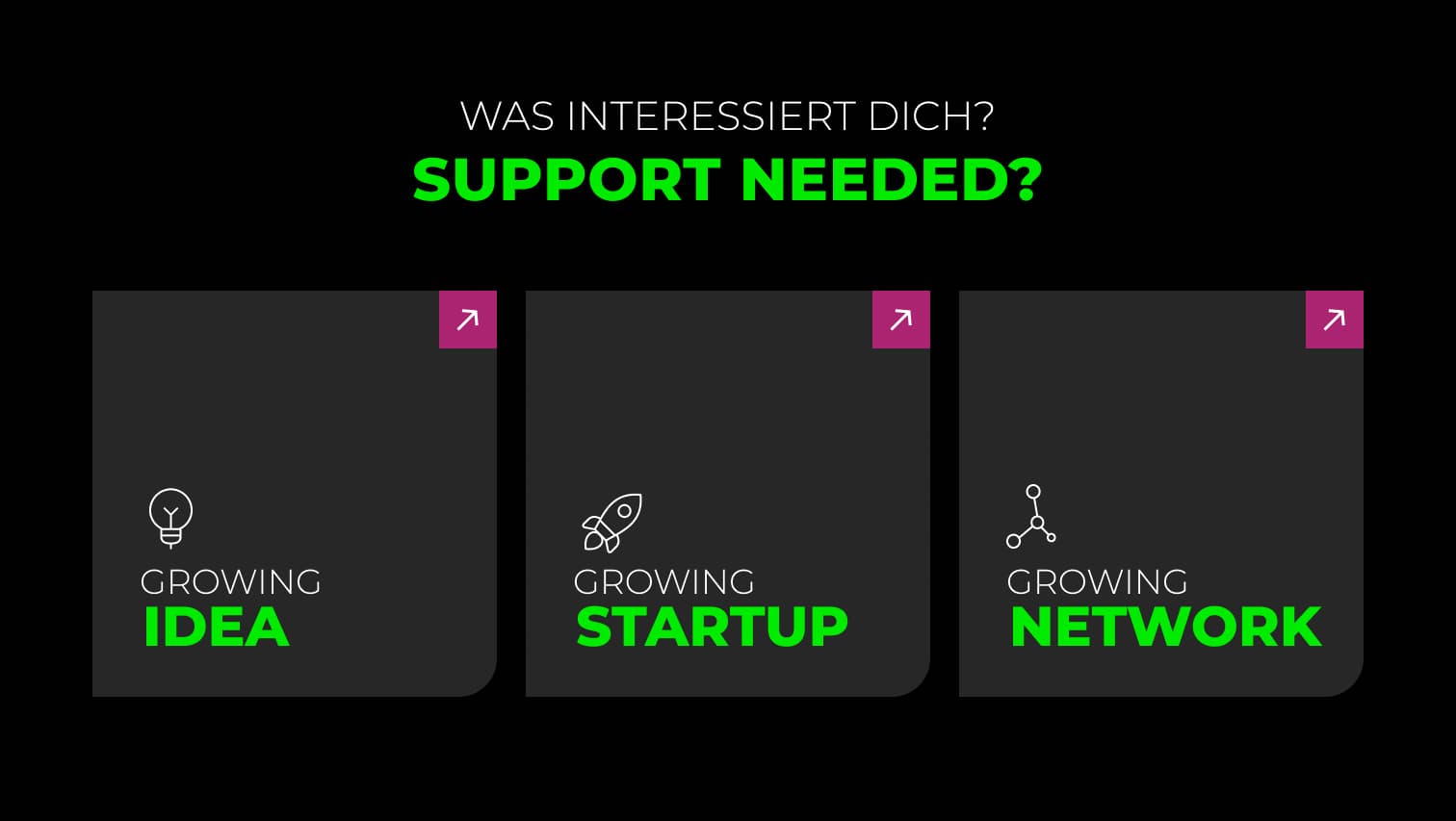 Navigation der Seedhouse-Plattform mit drei Bereichen: Growing Idea, Growing Startup und Growing Network
