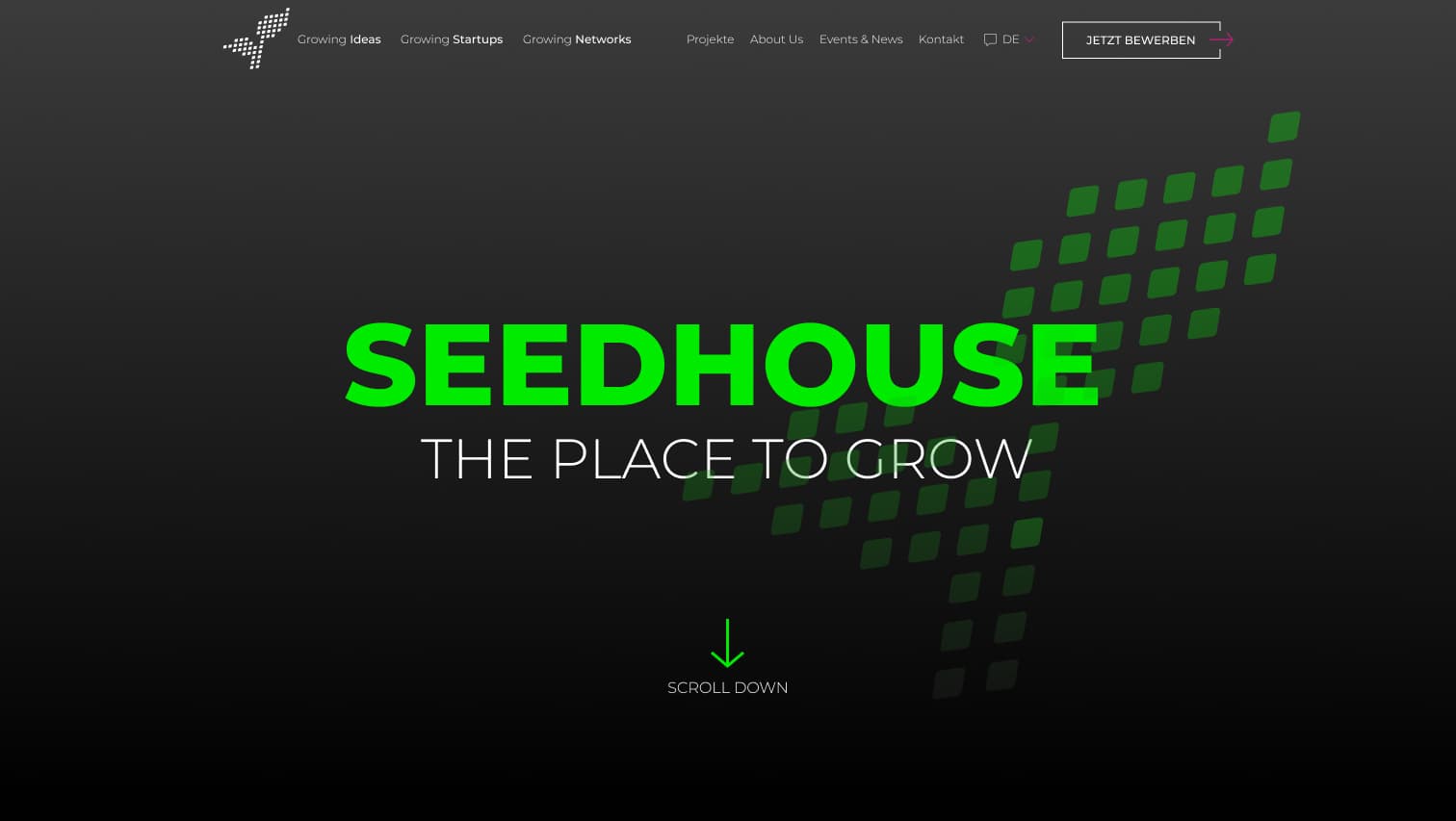 Startseite der Seedhouse-Website mit dem Claim 'The Place to Grow' auf dunklem Hintergrund
