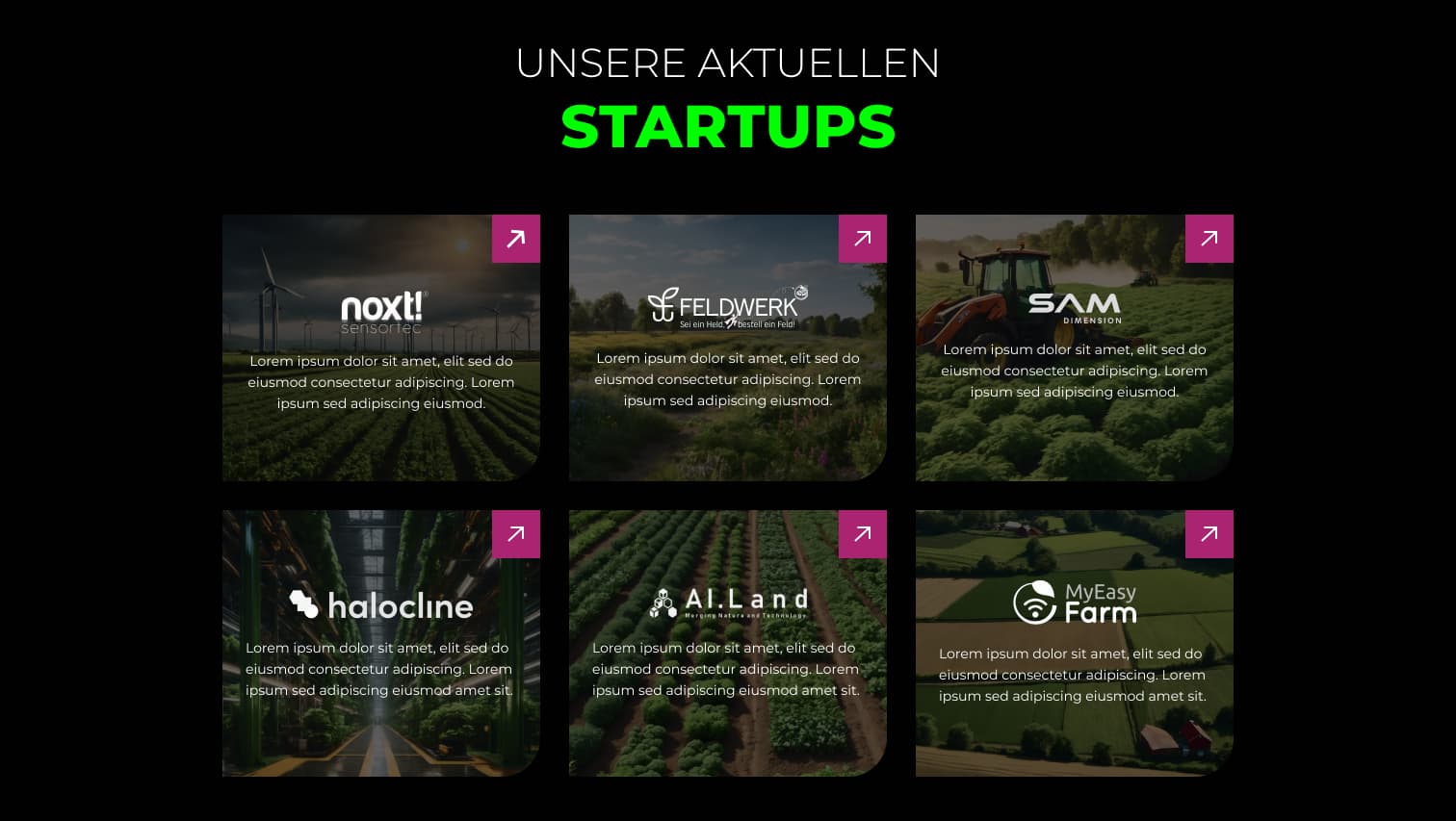 Startup-Portfolio-Sektion der Seedhouse-Website mit sechs vorgestellten Projekten
