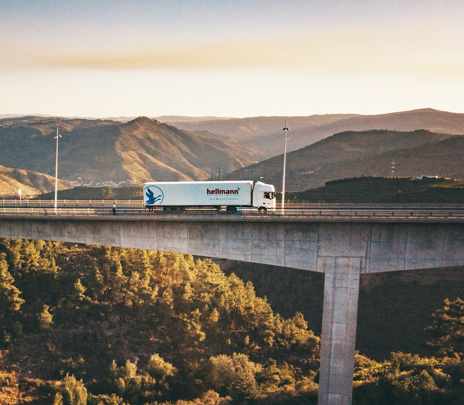 Hellmann-Logistics-LKW überquert moderne Talbrücke in hügeliger Landschaft
