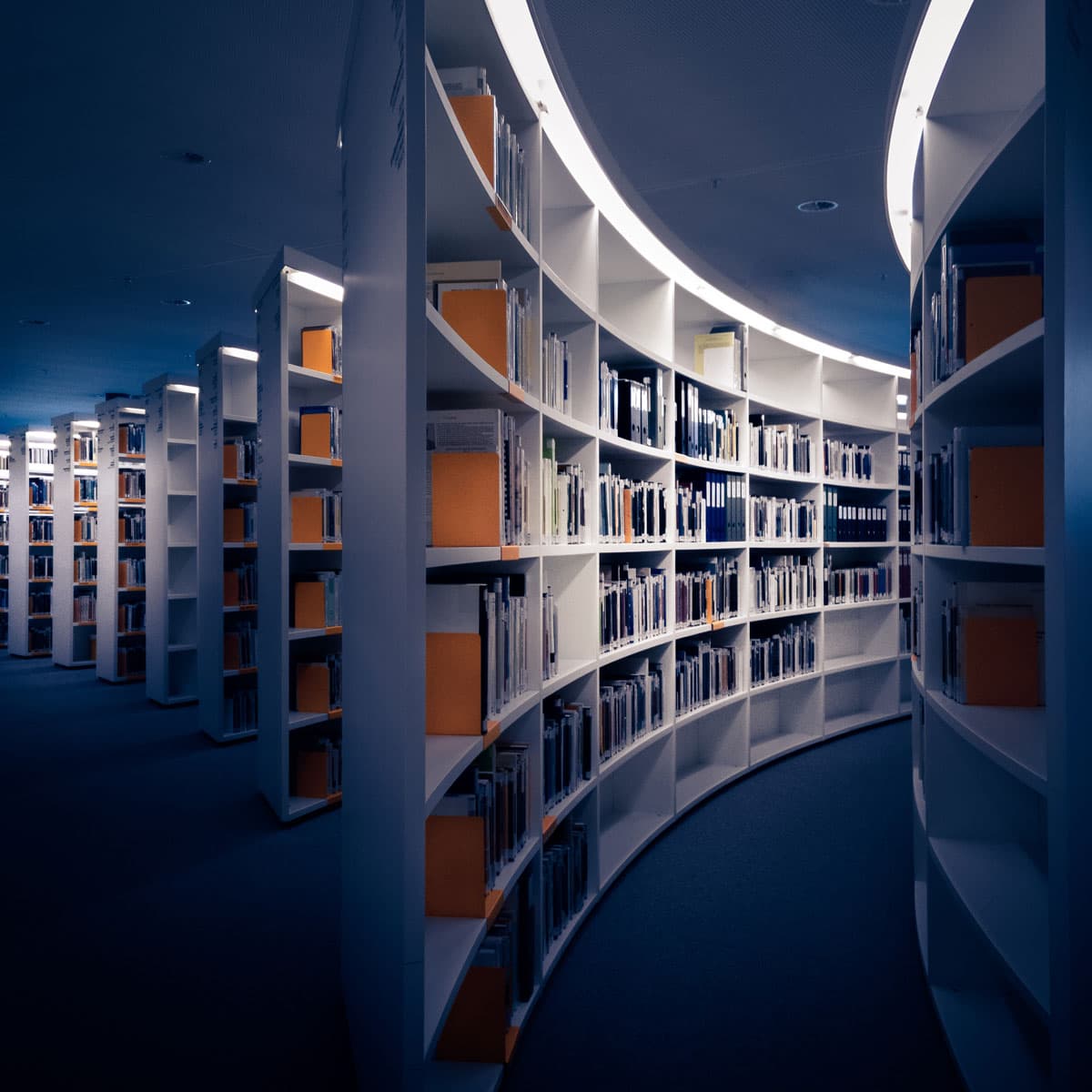 Geschwungene, moderne Bücherregale einer Bibliothek im blauen Licht – symbolisch für strukturiertes Datenmanagement und Business Intelligence