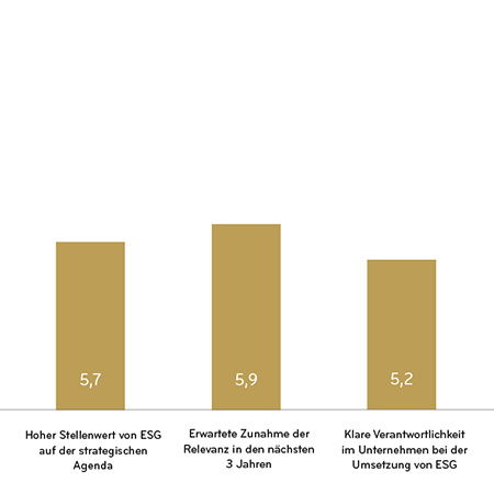 Grafik ESG Relevanz