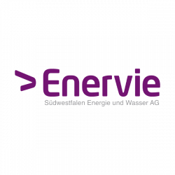Logo Kunde Enervie