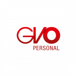 Logo GVO Personal