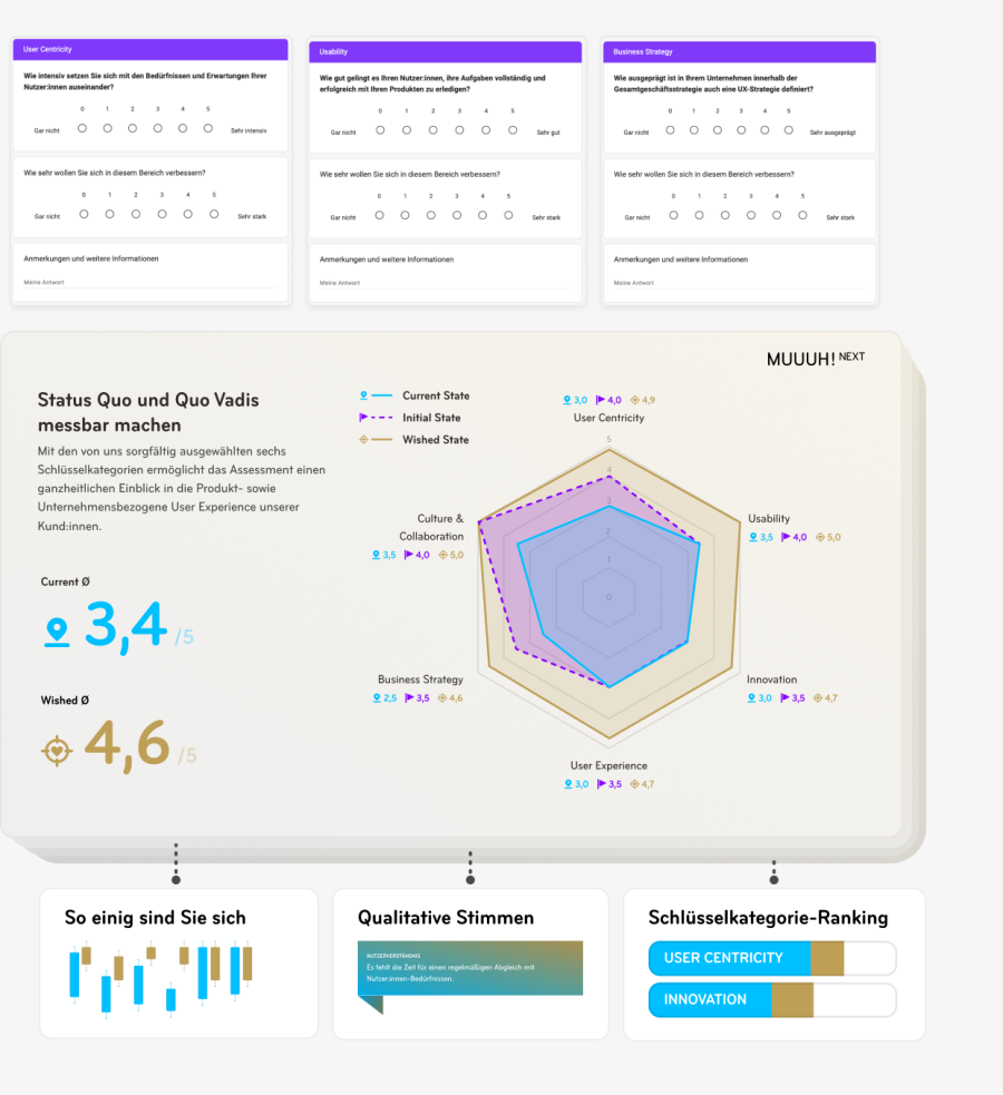 MUUUH!-Next-UX-Design-User-Experfience-Assessment-UX-Pulse-Data-Visualisation